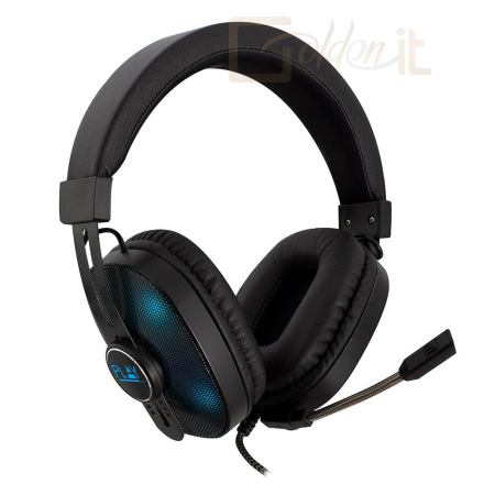 Fejhallgatók, mikrofonok Ewent PL3321 RGB Gaming Headset Black - PL3321