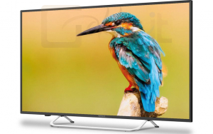 TV Strong 40
