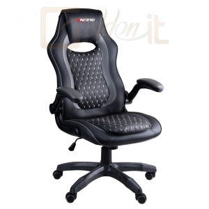 Gamer szék Racing BGEU-A135 Gaming Chair Black/Gray - BGEU-A135