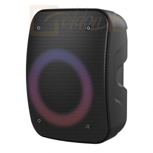 Hangfal Platinet PMG255 Wireless Karaoke Speaker Black - PMG255