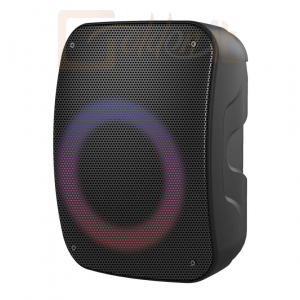 Hangfal Platinet PMG250 Wireless Karaoke Speaker Black - PMG250