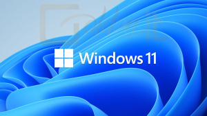 Operációs rendszer Microsoft Windows 11 Pro 64bit HUN DVD - FQC-10537