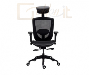 Gamer szék Tesoro Alphaeon E3 Gaming Chair Black - TS-E3