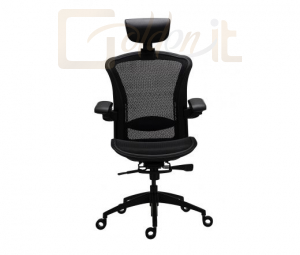 Gamer szék Tesoro Alphaeon E5 Mesh Gaming Chair Black - TS-E5