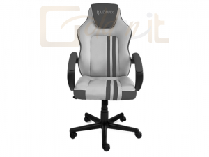 Gamer szék RaidMax Drakon DK290 Gaming Chair Grey/Charcoal - DK290GY