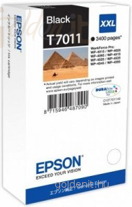 Epson T7011 Black