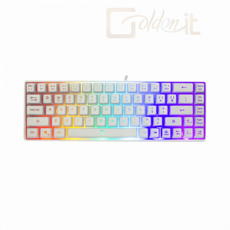 Billentyűzet White Shark Ronin RGB Gaming keyboard White US - GK-2201W-US