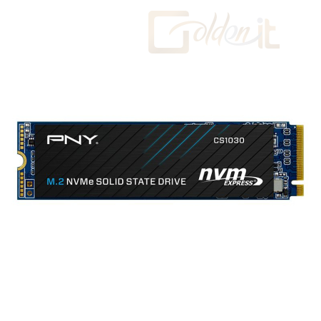 Winchester SSD PNY 250GB M.2 2280 NVMe CS1030 - M280CS1030-250-RB