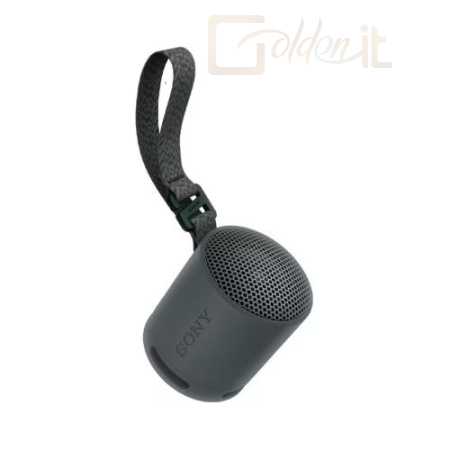 Hangfal Sony SRSX-B100 Bluetooth Speaker Black - SRSXB100B.CE7