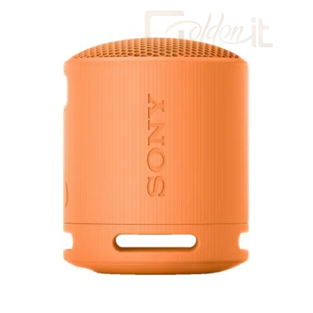 Hangfal Sony SRSX-B100 Bluetooth Speaker Orange - SRSXB100D.CE7