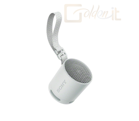 Hangfal Sony SRSX-B100 Bluetooth Speaker Light Grey - SRSXB100H.CE7