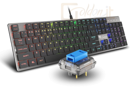 Billentyűzet Genesis Thor 420 RGB Mechanical Slim Gaming keyboard Grey US - NKG-1587