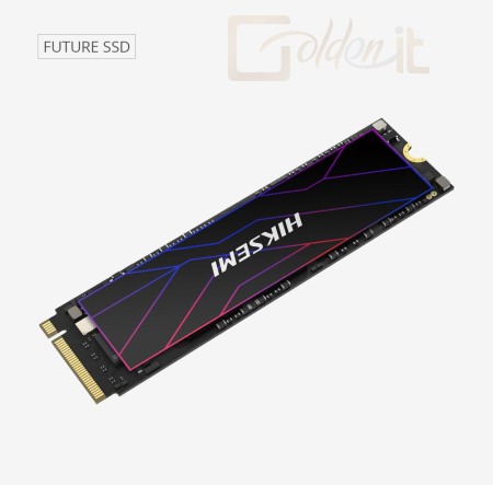 Winchester SSD HikSEMI 4TB M.2 2280 Future - HS-SSD-FUTURE 4096G