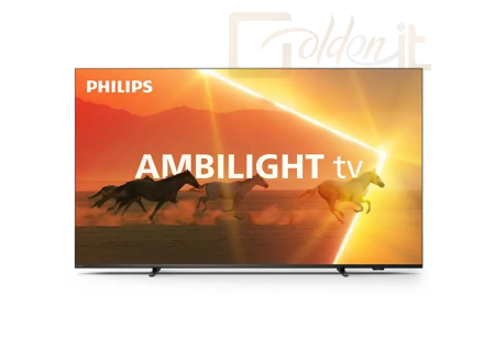 TV Philips 55