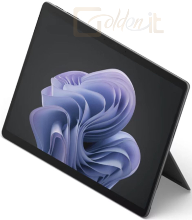 TabletPC Microsoft Surface Pro 10 for Business 13