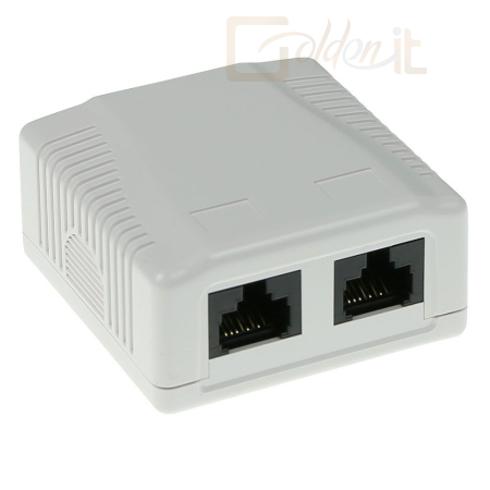 Hálózati eszközök ACT Surface mounted box unshielded 2 ports CAT6 - FA6002