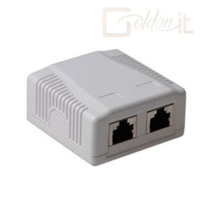 Hálózati eszközök ACT Surface mounted box shielded 2 ports CAT6A - FA7004