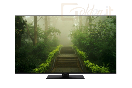 TV Panasonic 43