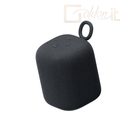 Hangfal Sony SRS-LS1 LinkBuds Portable Wireless Speaker Black - SRSLS1B.CE7