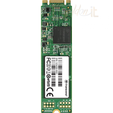 Winchester SSD Transcend 64GB M.2 2280 800S - TS64GMTS800S