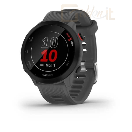 Okosóra Garmin Forerunner 55 Monterra Grey - 010-02562-13