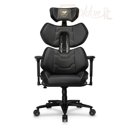 Gamer szék Cougar Terminat Elite Gold Gaming Chair Black/Gold - CGR-TRE-GLB