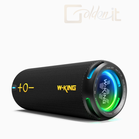 Hangfal W-King D320 Bluetooth Speaker Black - D320-BLK