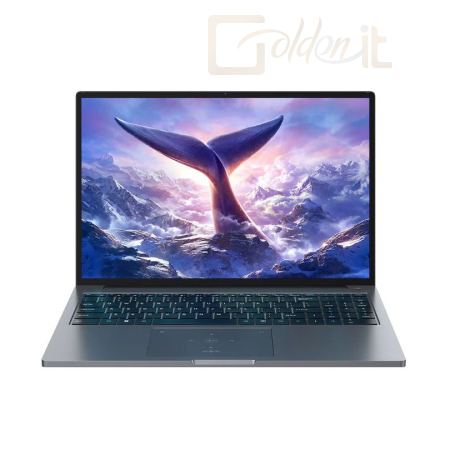 Notebook Blackview GamiBook 8 Grey - BLAGAMI8-32/1