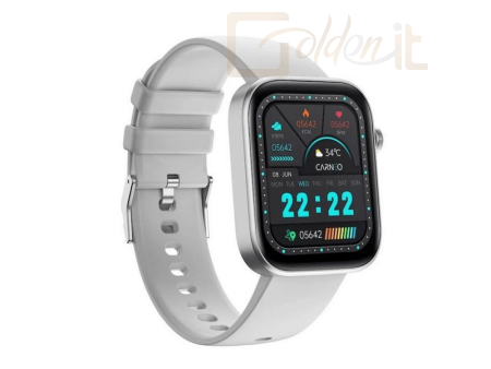 Okosóra Carneo Zenith HR+ Silver - 8588009299943