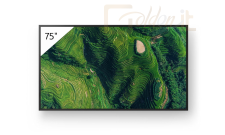 Monitor Sony 75
