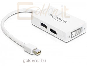 DeLock Displayport mini > Displayport/HDMI/DVI adapter