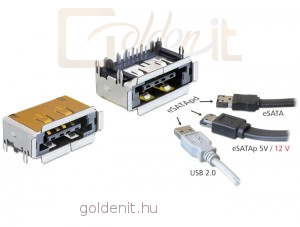 DeLock csatlakozó eSATApd anya eSATA + USB 2.0 5 V / 12 V