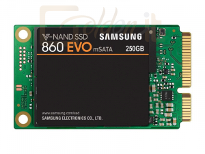 Winchester SSD Samsung 250GB mSATA3 860 Series Evo MZ-M6E250BW - MZ-M6E250BW