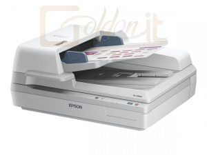 Scanner Epson WorkForce DS-70000 - B11B204331