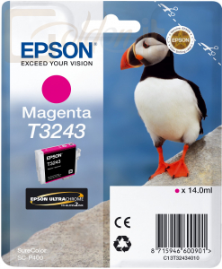 Nyomtató - Tintapatron Epson T3243 Magenta - C13T32434010