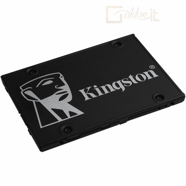 Winchester SSD Kingston 256GB 2,5
